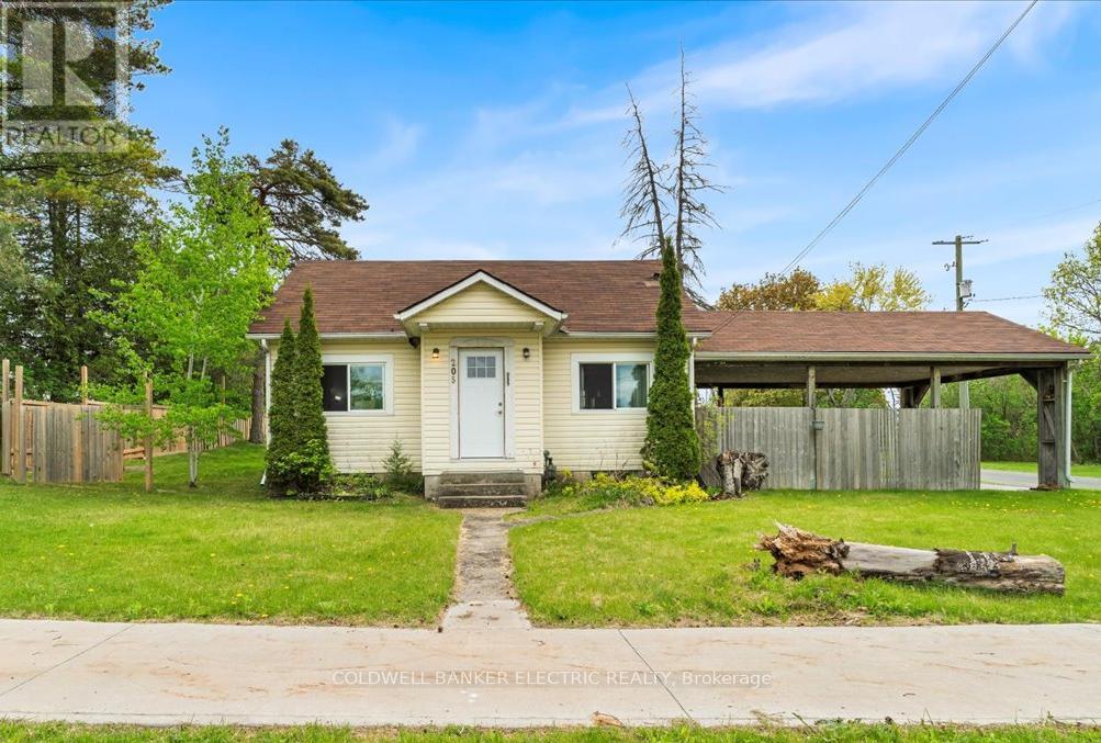 205 Wallace Street, Trent Hills, Ontario  K0L 1L0 - Photo 3 - X12154988