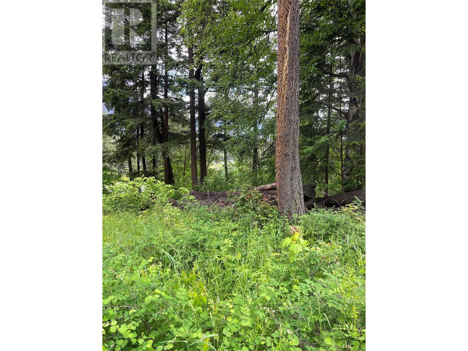 2481 Squilax Anglemont Road Lot# 23, Lee Creek, British Columbia  V0E 1M0 - Photo 25 - 10348352