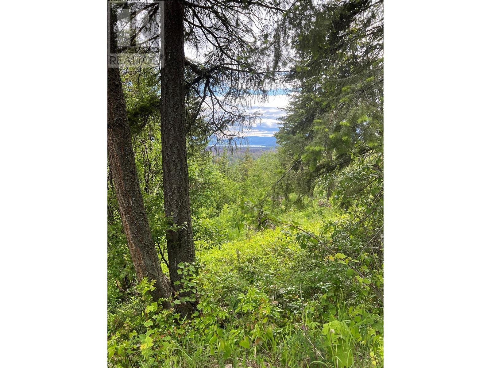 2481 Squilax Anglemont Road Lot# 23, Lee Creek, British Columbia  V0E 1M0 - Photo 36 - 10348352