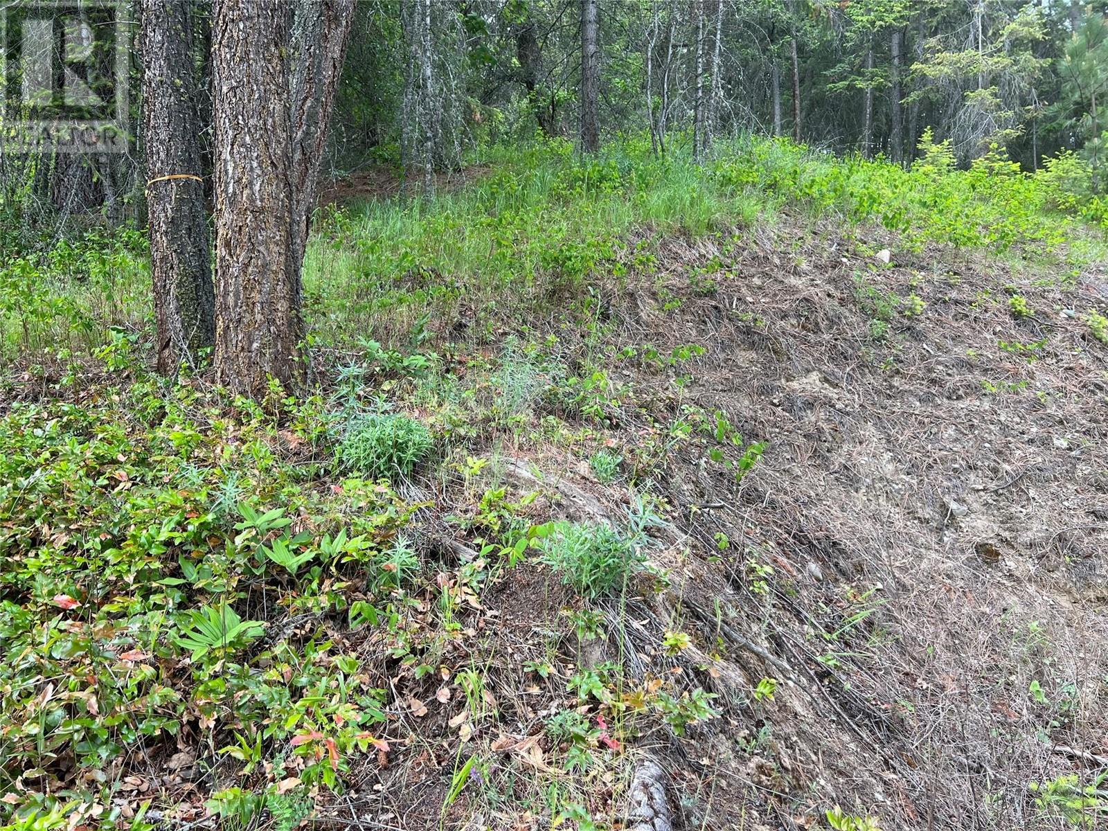 2481 Squilax Anglemont Road Lot# 23, Lee Creek, British Columbia  V0E 1M0 - Photo 28 - 10348352
