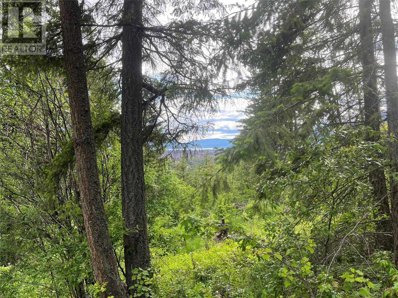 2481 Squilax Anglemont Road Lot# 23, Lee Creek, British Columbia  V0E 1M0 - Photo 29 - 10348352