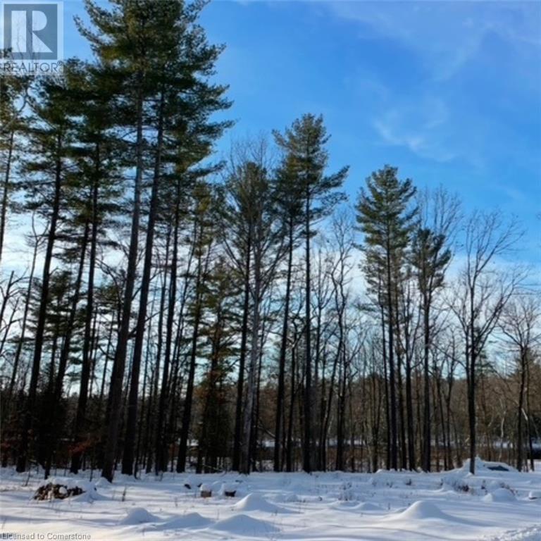 629 Bowen Road, Havelock-Belmont-Methuen Twp, Ontario  K0L 1Z0 - Photo 8 - 40728226