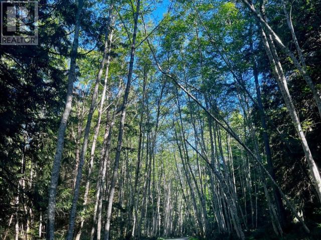 1259 Vancouver Blvd, Savary Island, British Columbia   - Photo 74 - 18959