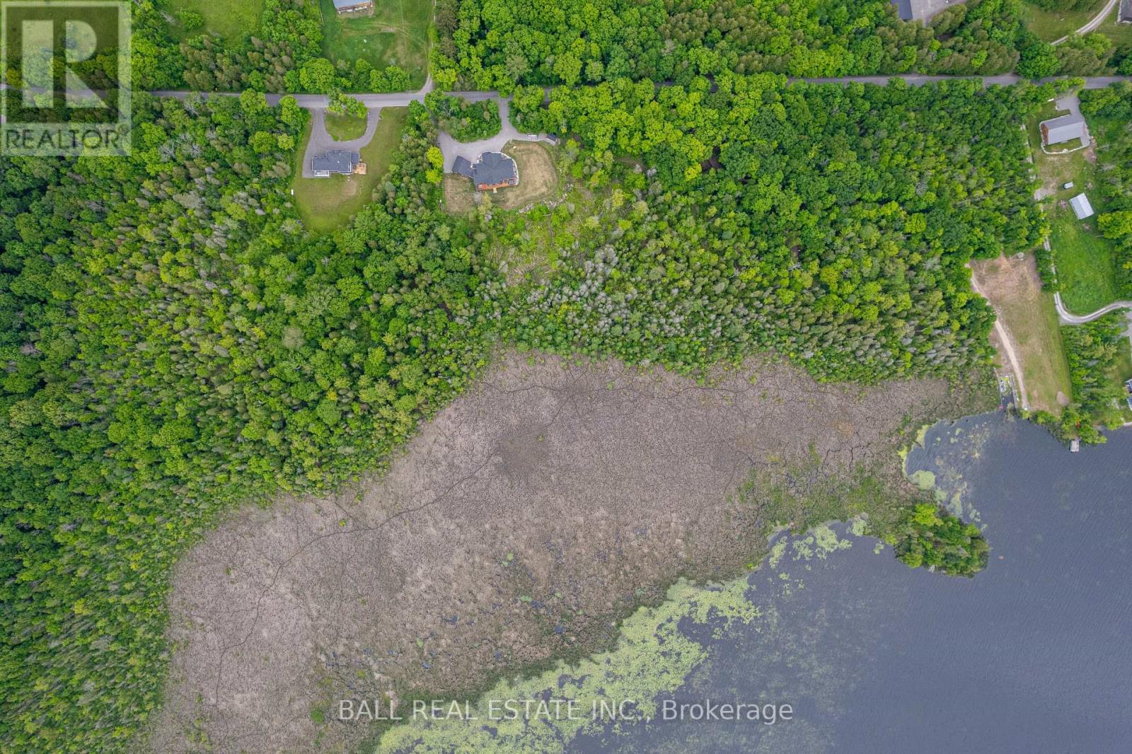 0 Mill Line Road, Trent Lakes, Ontario K0M 1A0 - Photo 14 - X12024601