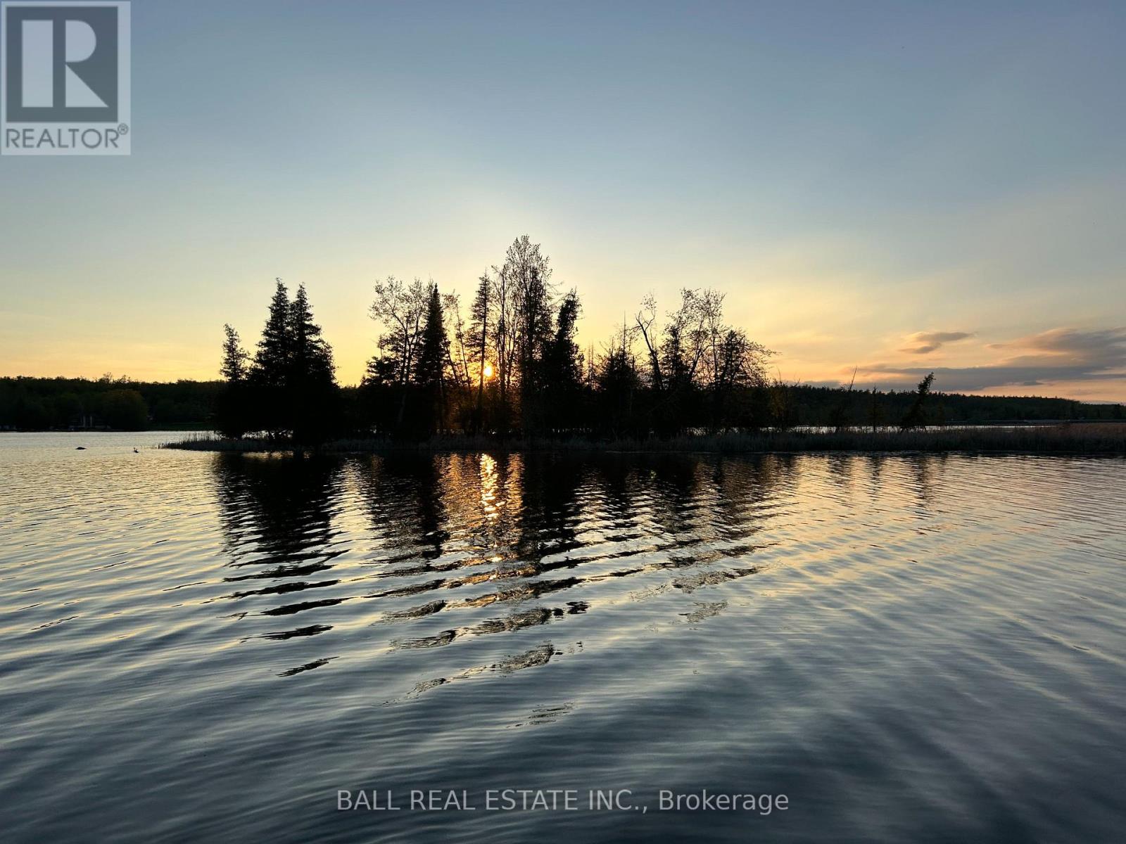 0 Mill Line Road, Trent Lakes, Ontario K0M 1A0 - Photo 2 - X12024601