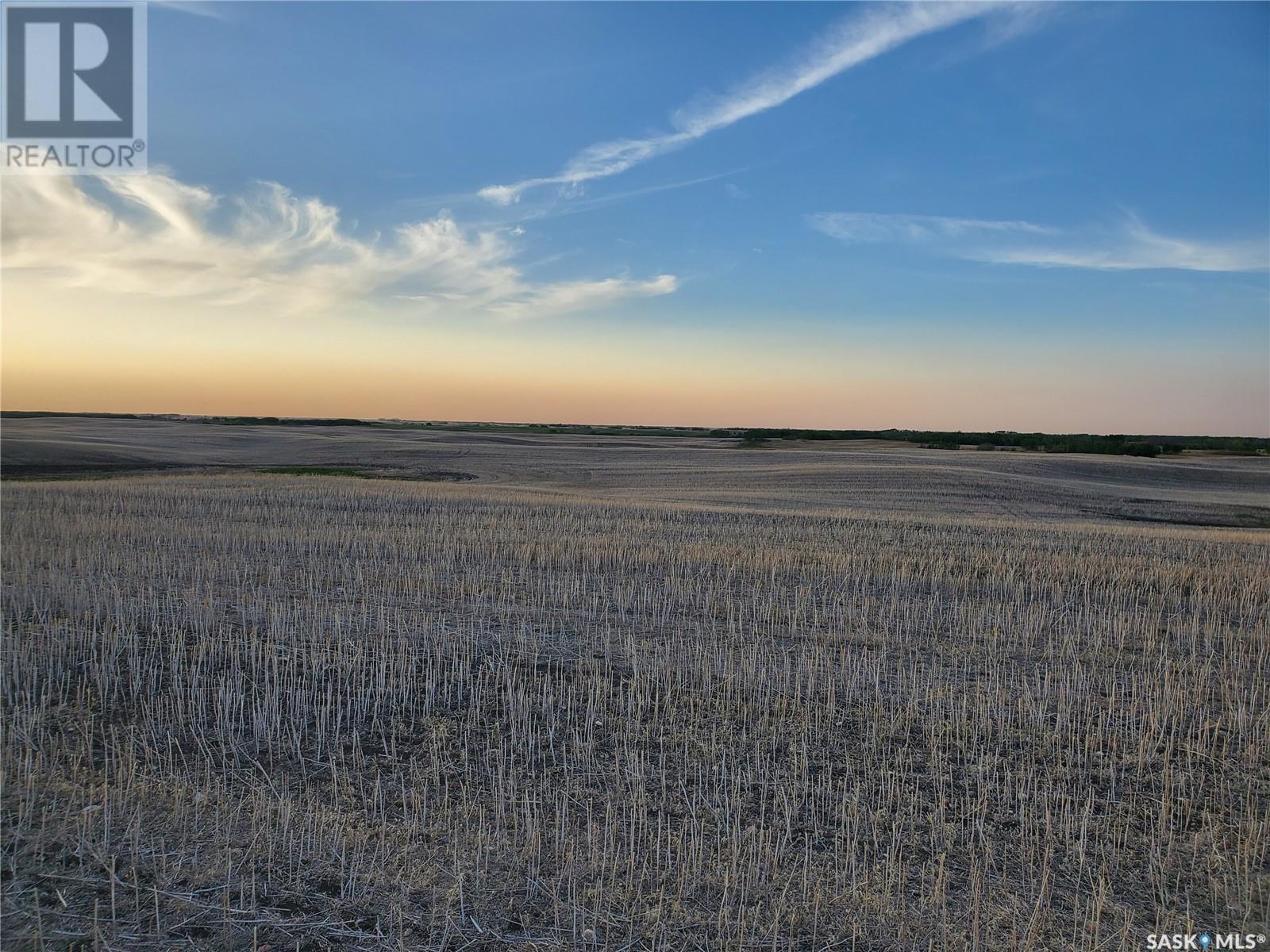 Grayson 9 Quarter Farm, Grayson Rm No. 184, Saskatchewan  S0A 1E0 - Photo 50 - SK000275