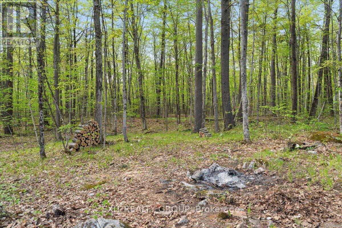 44 Centre Road, Madoc, Ontario  K0K 2K0 - Photo 38 - X12155101