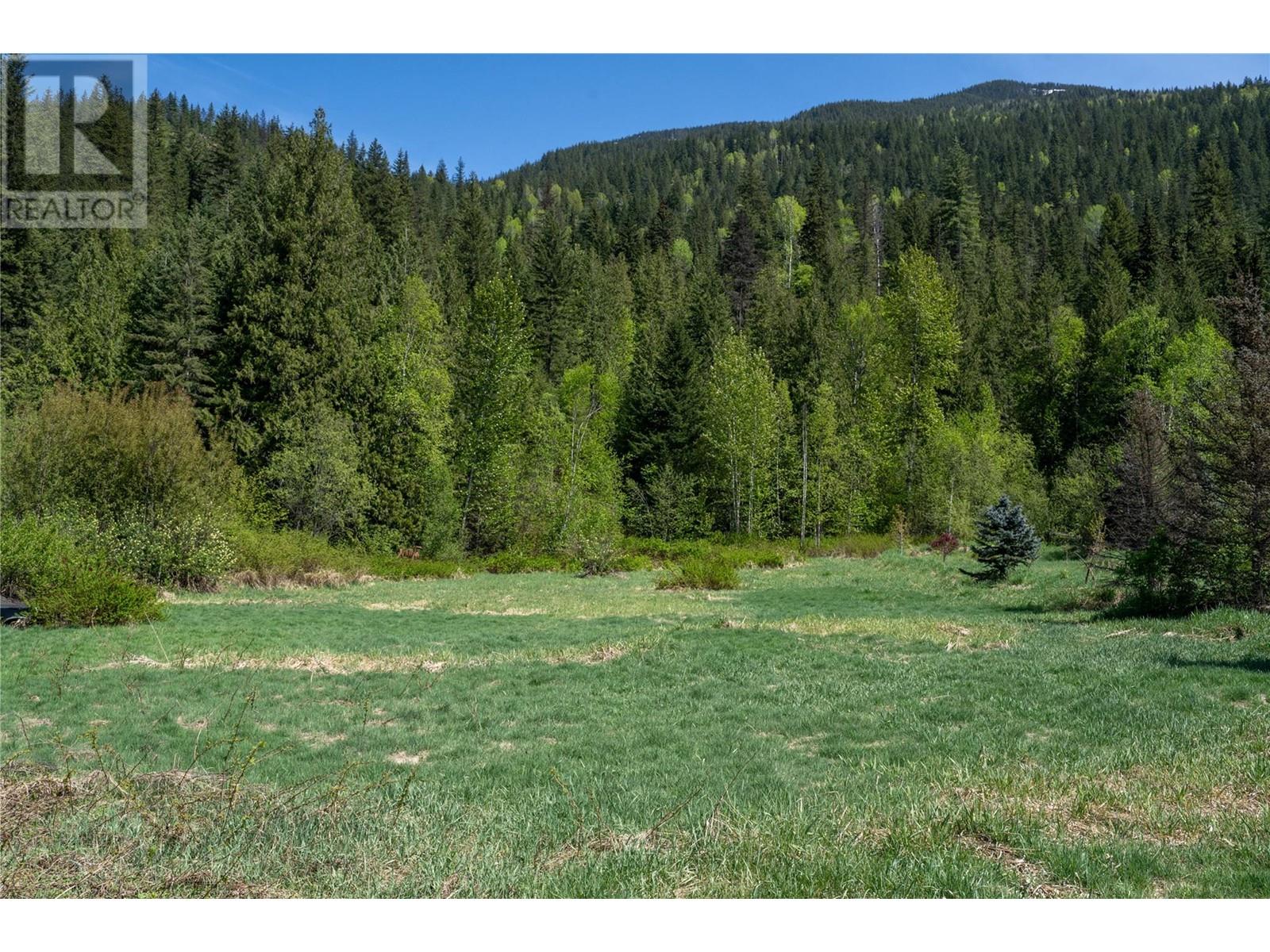 1918 Camozzi Road, Revelstoke, British Columbia  V0E 2S0 - Photo 6 - 10331705