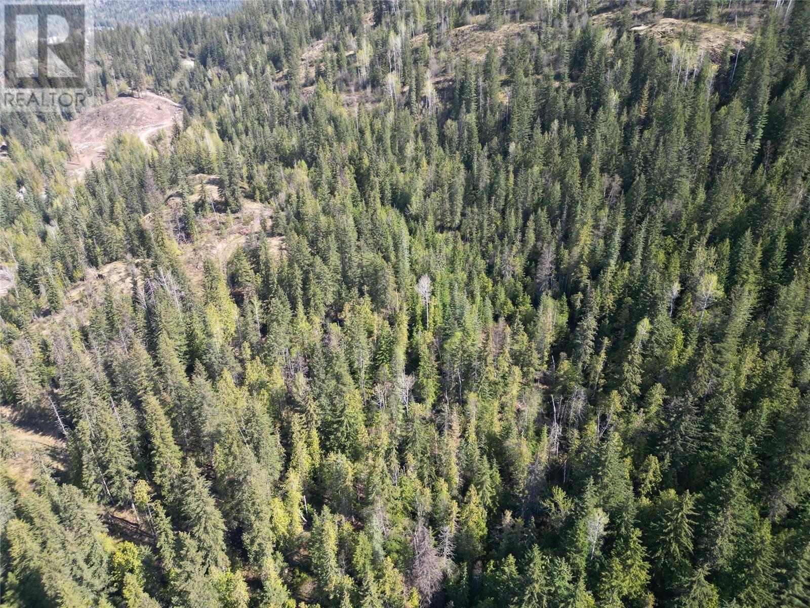 1918 Camozzi Road, Revelstoke, British Columbia  V0E 2S0 - Photo 12 - 10331705