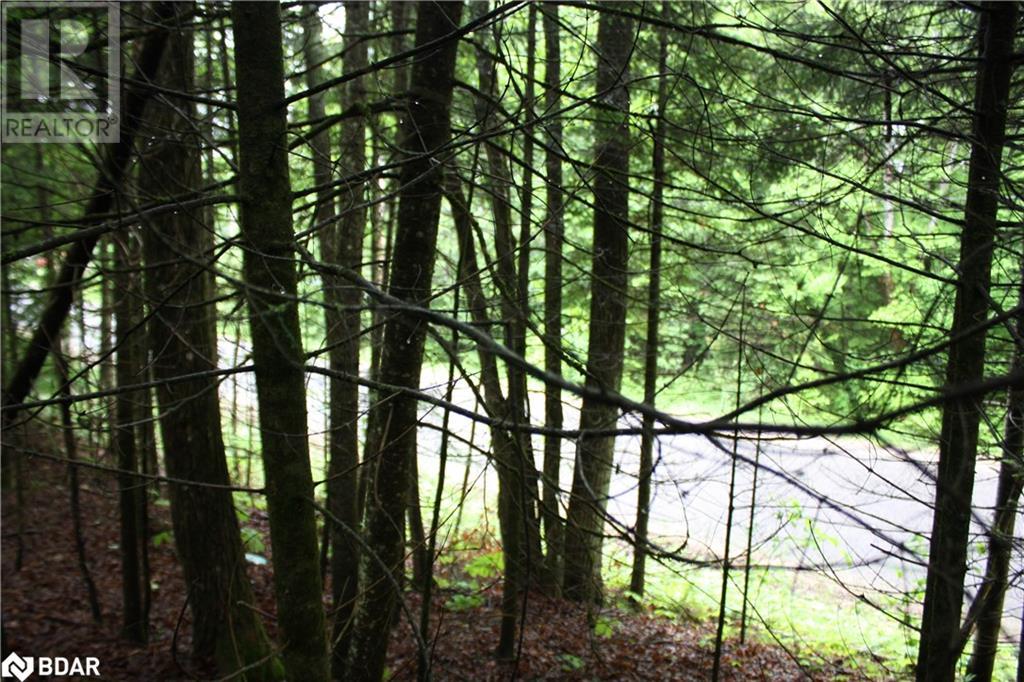 N/a Quarry Road, Bancroft, Ontario  K0L 1C0 - Photo 5 - 40708629