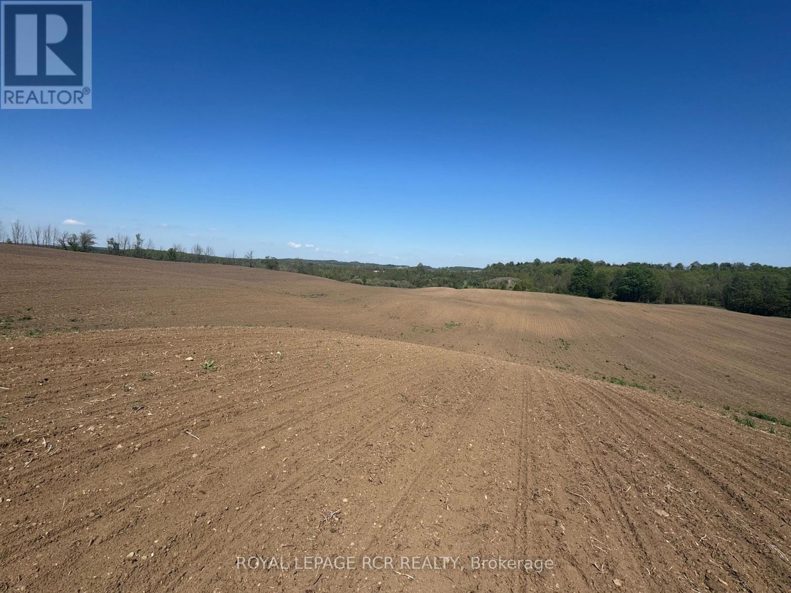 555463 Mono-Amaranth Townline, Mono, Ontario  L9V 0Z1 - Photo 10 - X12155098