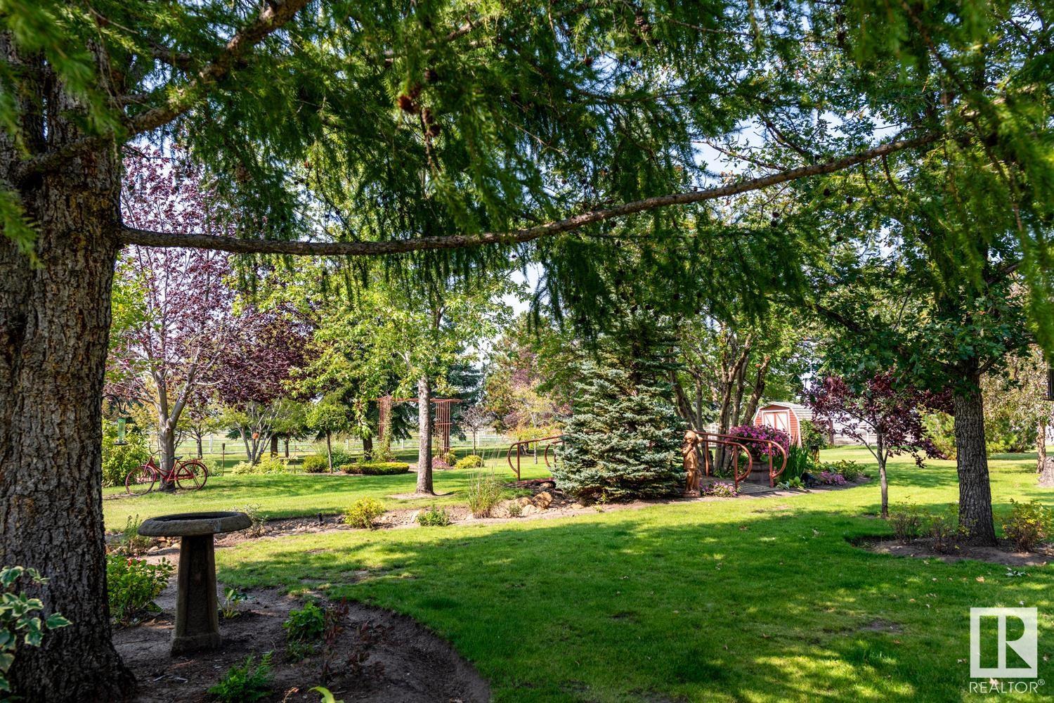 451066 Range Road 73, Rural Wainwright M.d., Alberta  T9W 1T4 - Photo 27 - E4437004