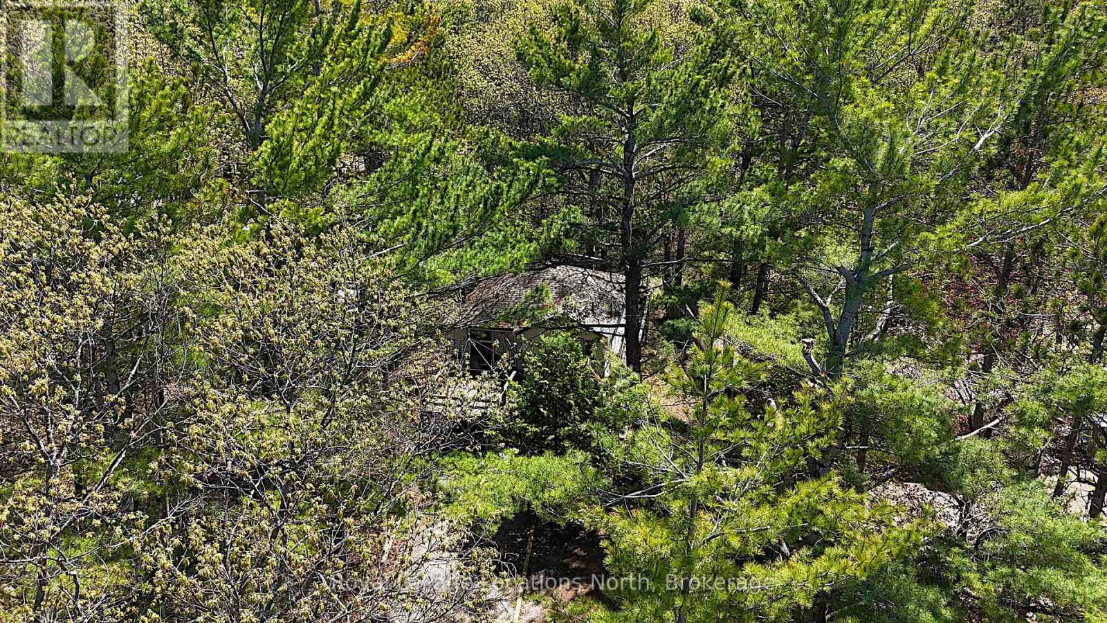 25 Balmoral Avenue, Tiny, Ontario L0L 1P1 - Photo 6 - S12155019