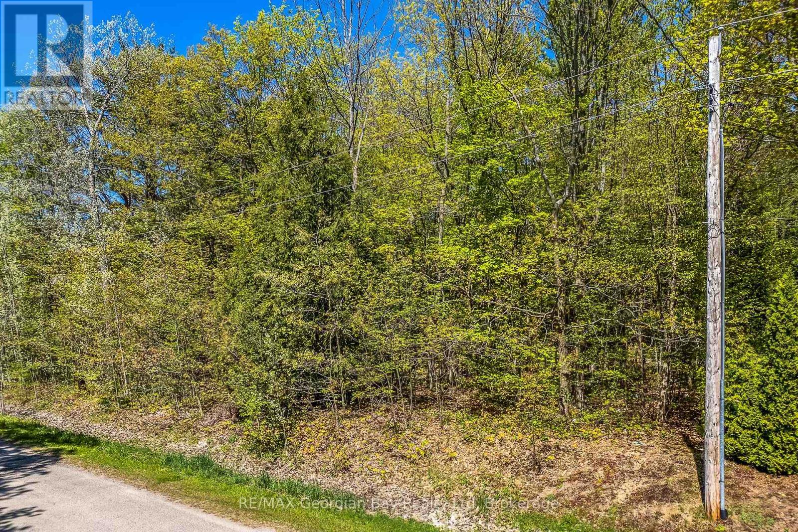 Lot 61 Rue Camille Road, Tiny, Ontario  L9M 1H3 - Photo 3 - S12155426