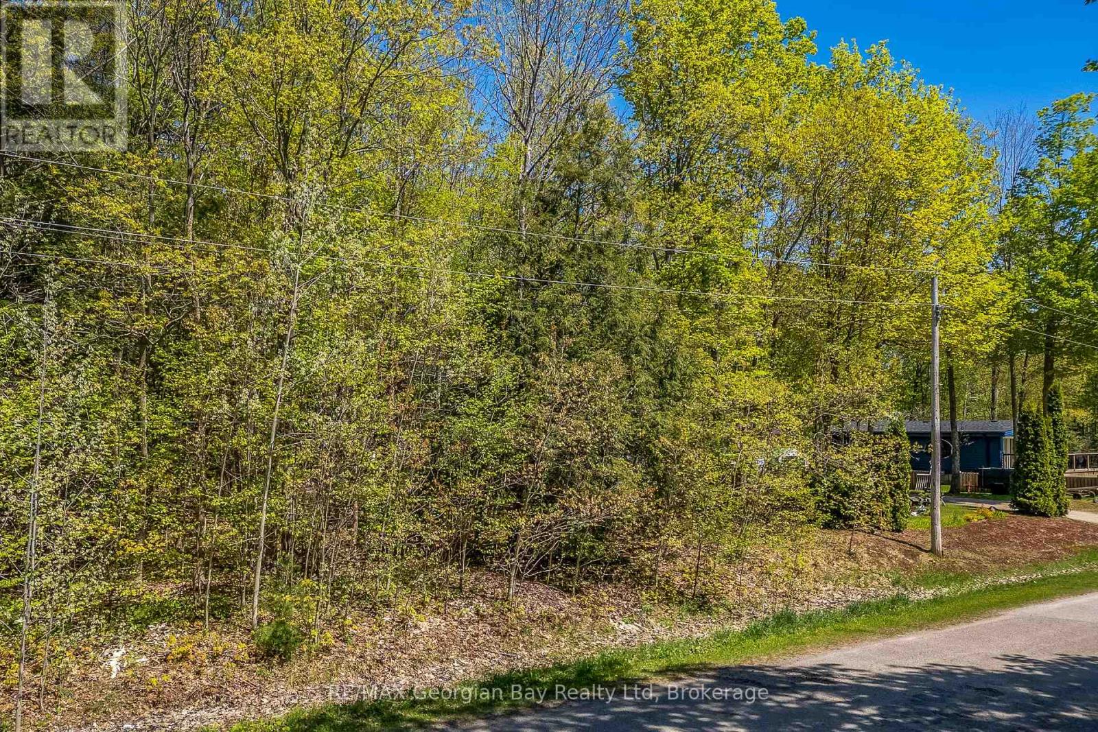 Lot 61 Rue Camille Road, Tiny, Ontario  L9M 1H3 - Photo 6 - S12155426