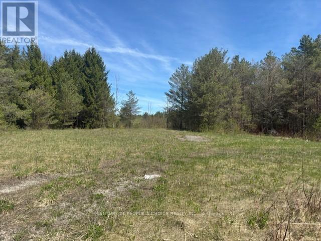 6081 Hwy 89, Clifford Road, Minto, Ontario  N0G 1M0 - Photo 12 - X12155256