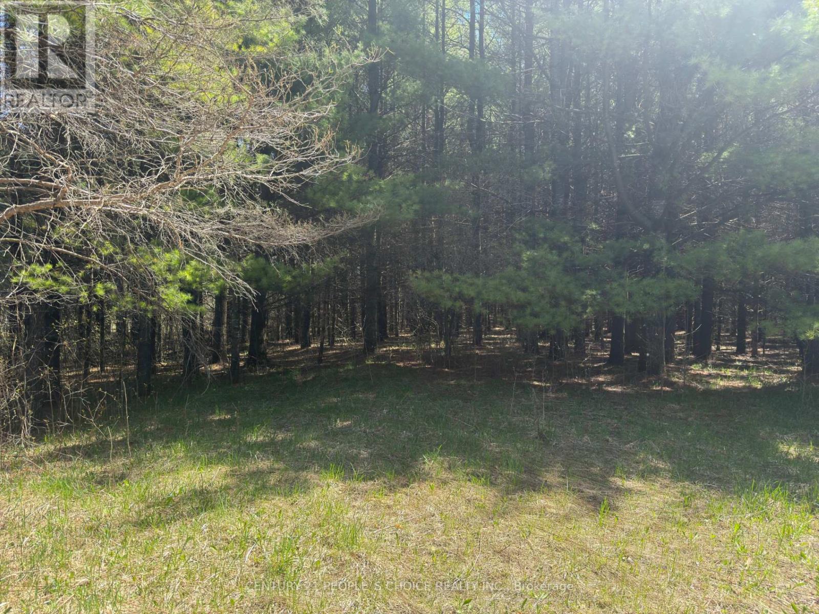 6081 Hwy 89, Clifford Road, Minto, Ontario  N0G 1M0 - Photo 8 - X12155256