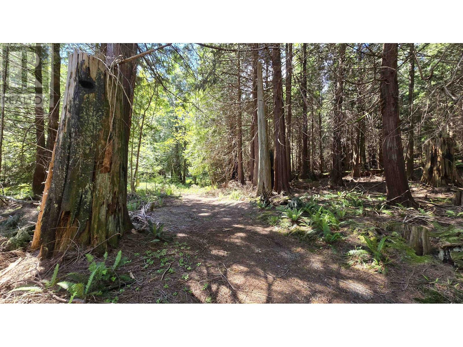 586 Treasure Trove Road, Keats Island, British Columbia  V0N 1V0 - Photo 35 - R3003794