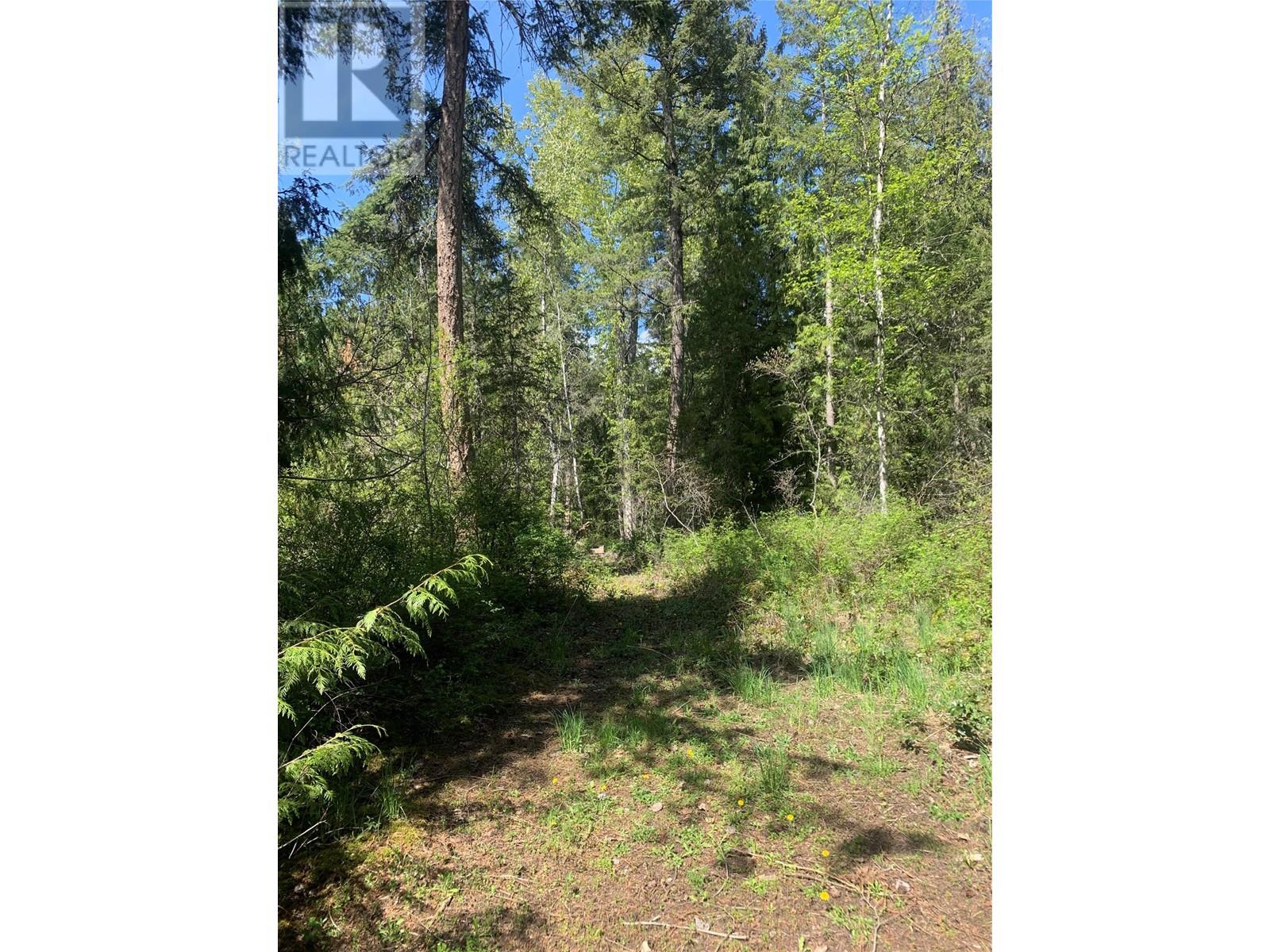 Lot A Squilax-Anglemont Road, Lee Creek, British Columbia  V0E 1M4 - Photo 3 - 10348357