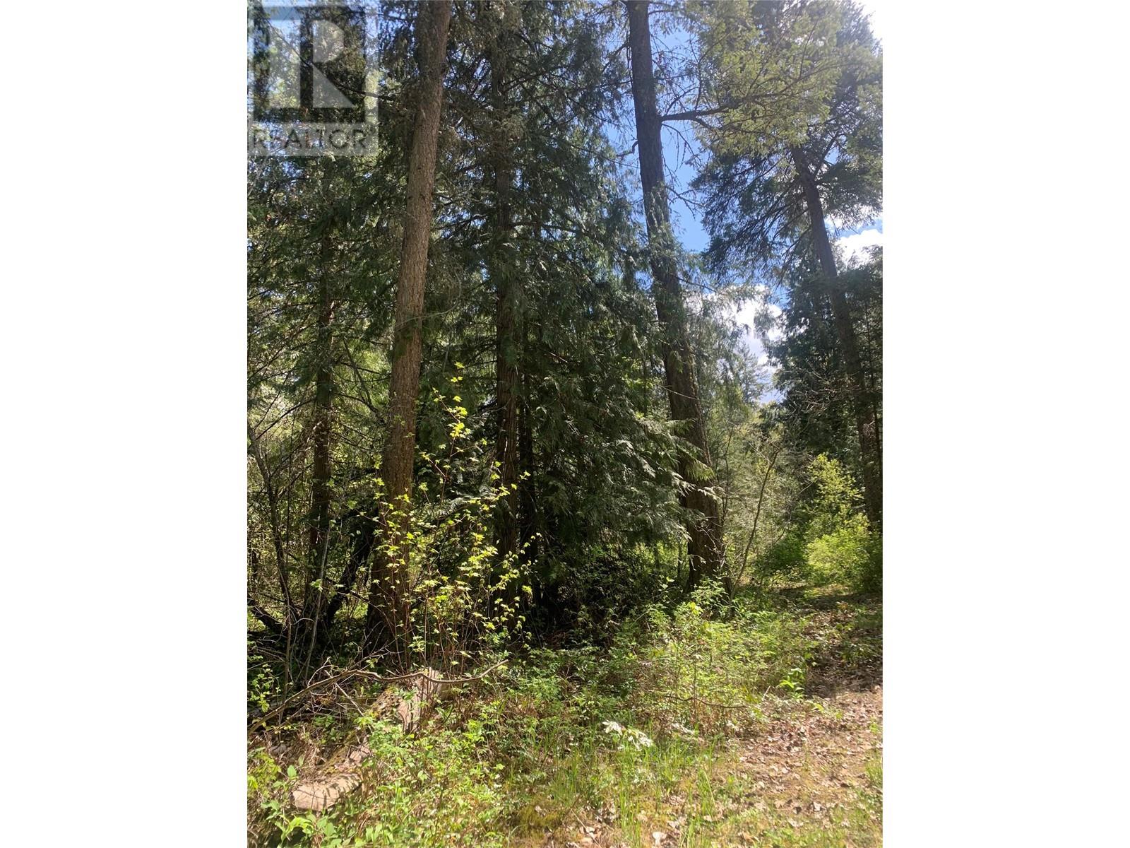 Lot A Squilax-Anglemont Road, Lee Creek, British Columbia  V0E 1M4 - Photo 7 - 10348357