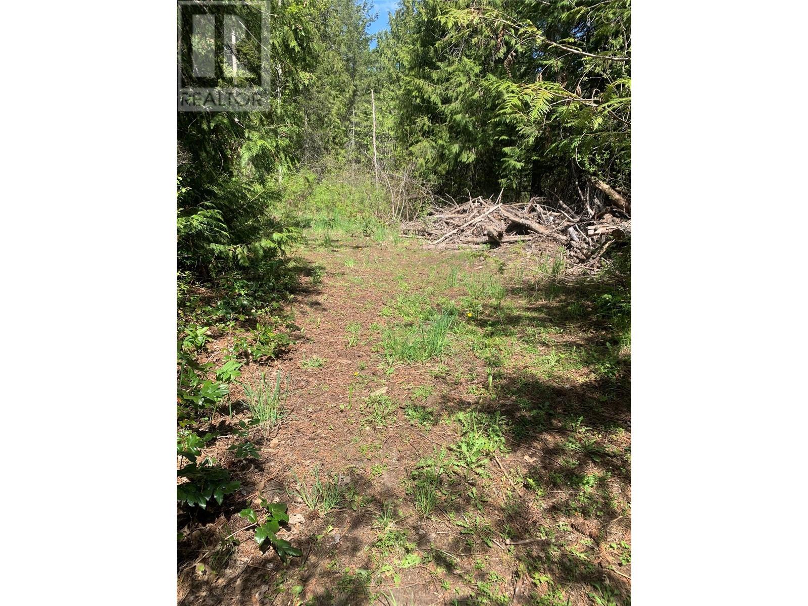 Lot A Squilax-Anglemont Road, Lee Creek, British Columbia  V0E 1M4 - Photo 2 - 10348357