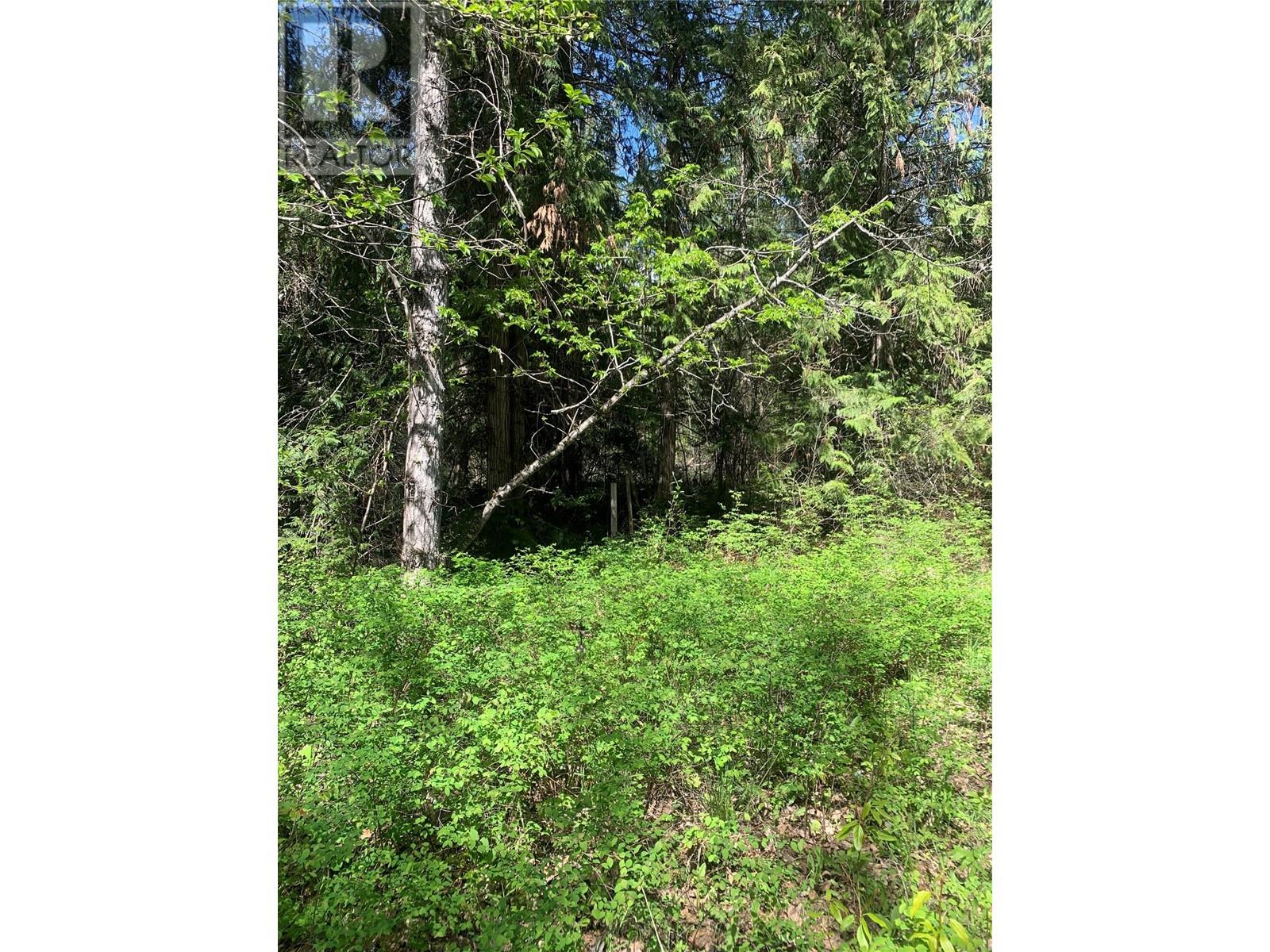Lot A Squilax-Anglemont Road, Lee Creek, British Columbia  V0E 1M4 - Photo 5 - 10348357