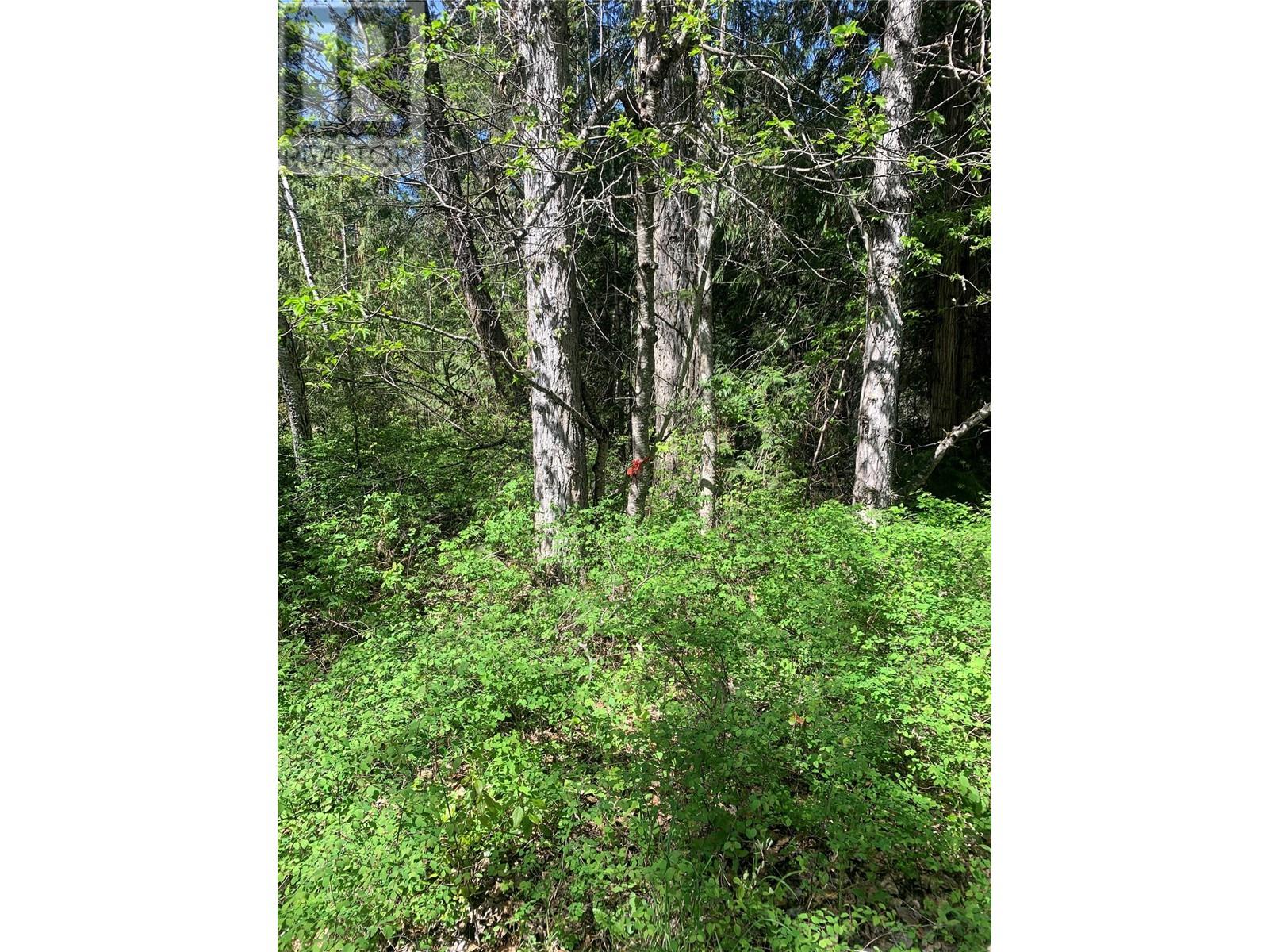 Lot A Squilax-Anglemont Road, Lee Creek, British Columbia  V0E 1M4 - Photo 6 - 10348357