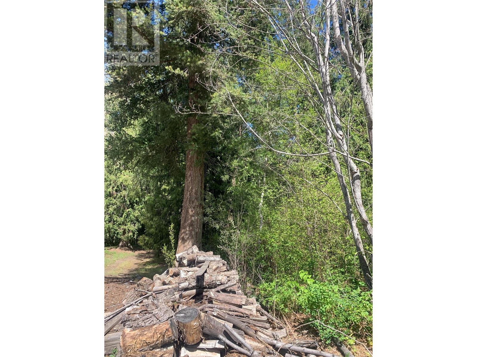 Lot A Squilax-Anglemont Road, Lee Creek, British Columbia  V0E 1M4 - Photo 9 - 10348357