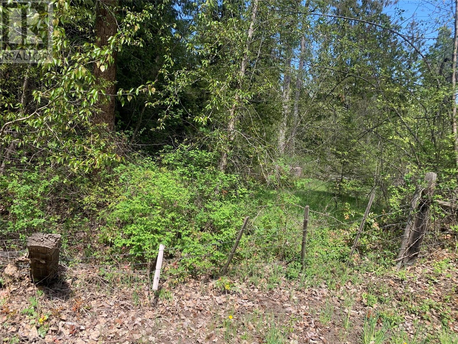 Lot A Squilax-Anglemont Road, Lee Creek, British Columbia  V0E 1M4 - Photo 10 - 10348357