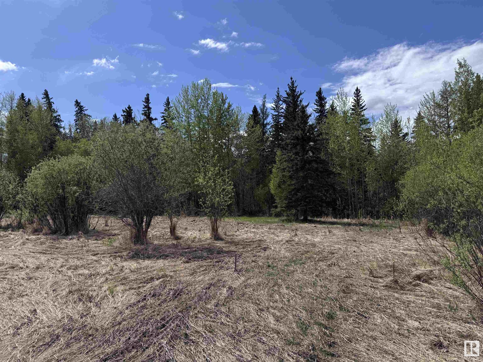 4816 & 4818 55 St, Fawcett, Alberta  T0G 0Y0 - Photo 10 - E4437013