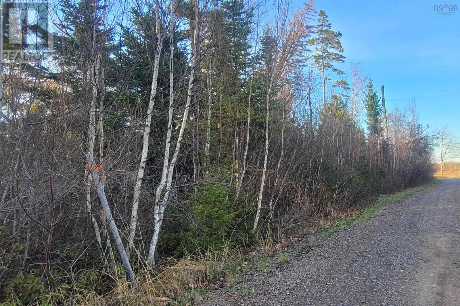 2 Island Road Extension, Malagash, Nova Scotia  B0K 1E0 - Photo 15 - 202510837