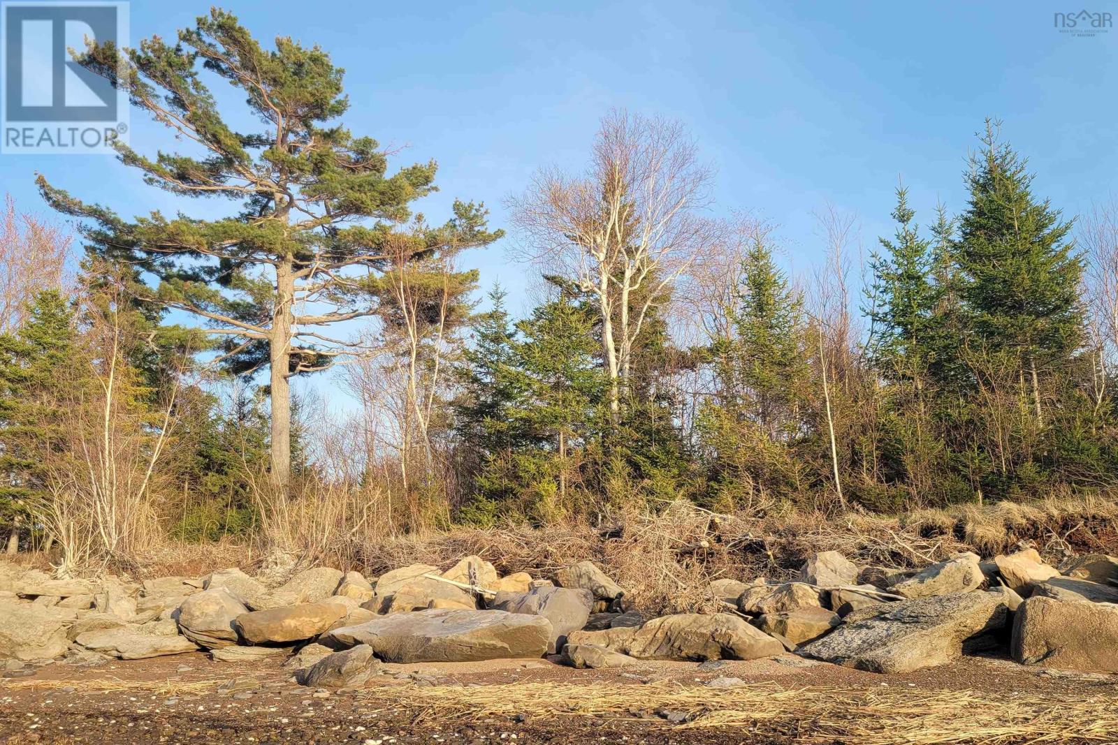 2 Island Road Extension, Malagash, Nova Scotia  B0K 1E0 - Photo 21 - 202510837