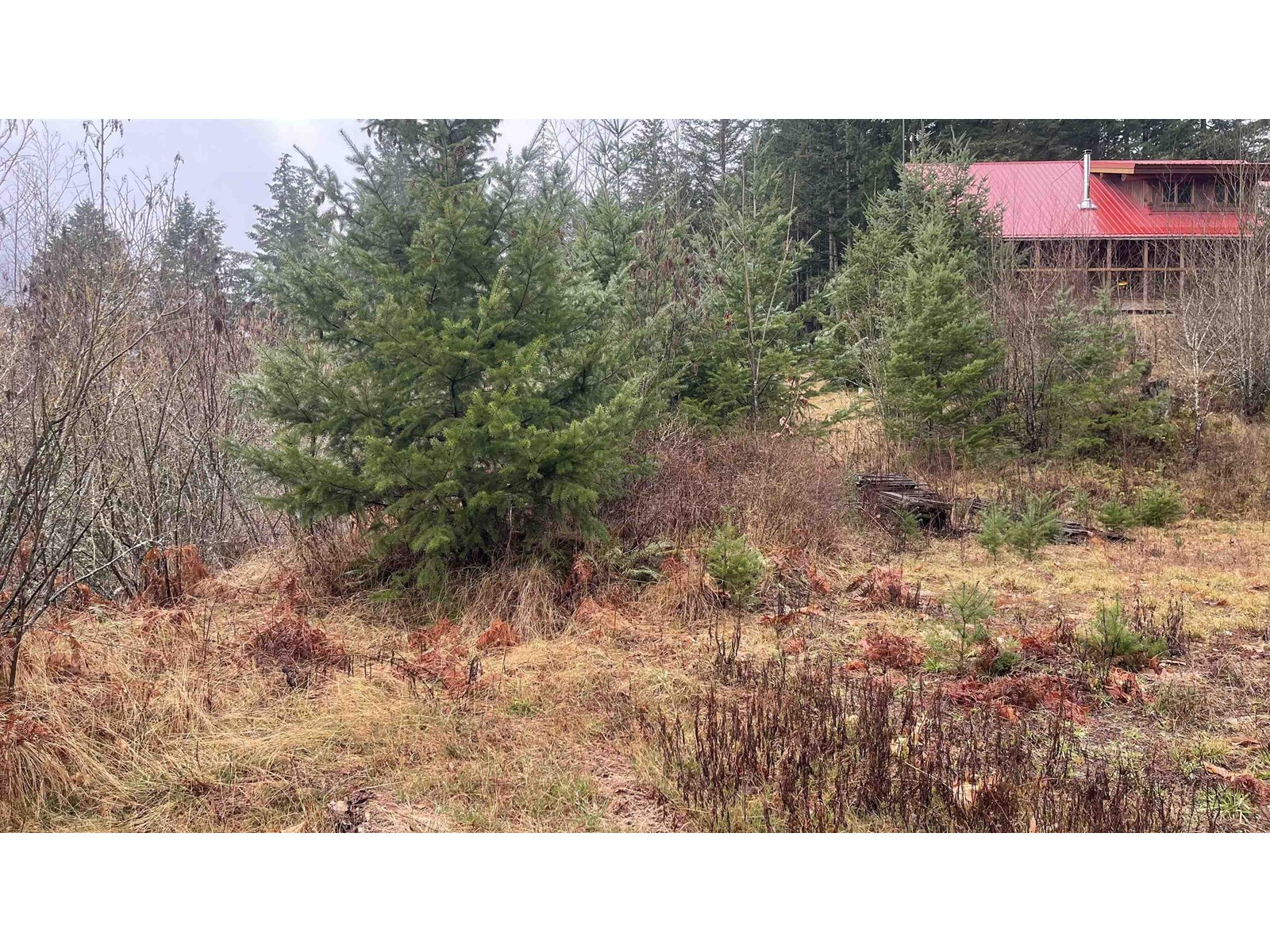 Property at 21885 UNION BAR ROAD image 5