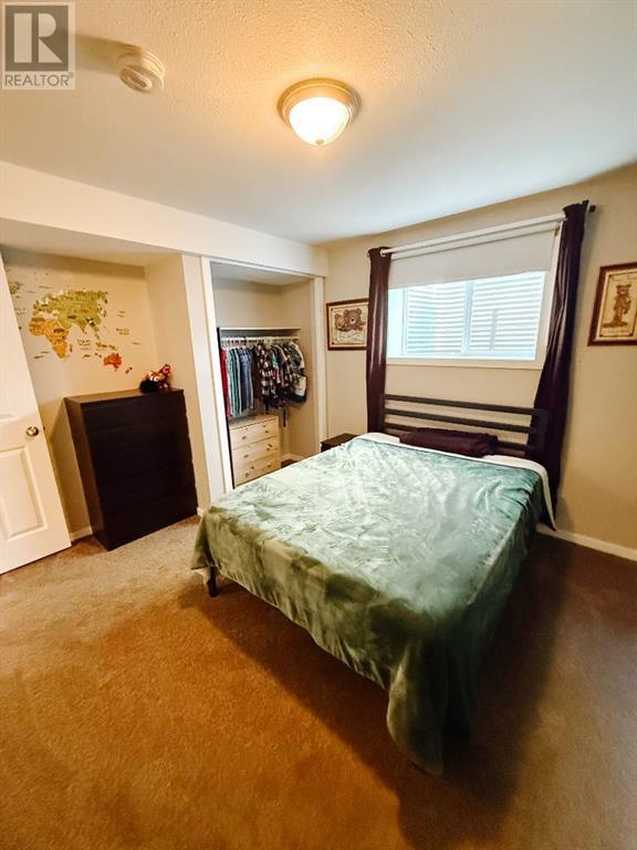 5305 57 Avenue, Rocky Mountain House, Alberta  T4T 1A5 - Photo 13 - A2222043