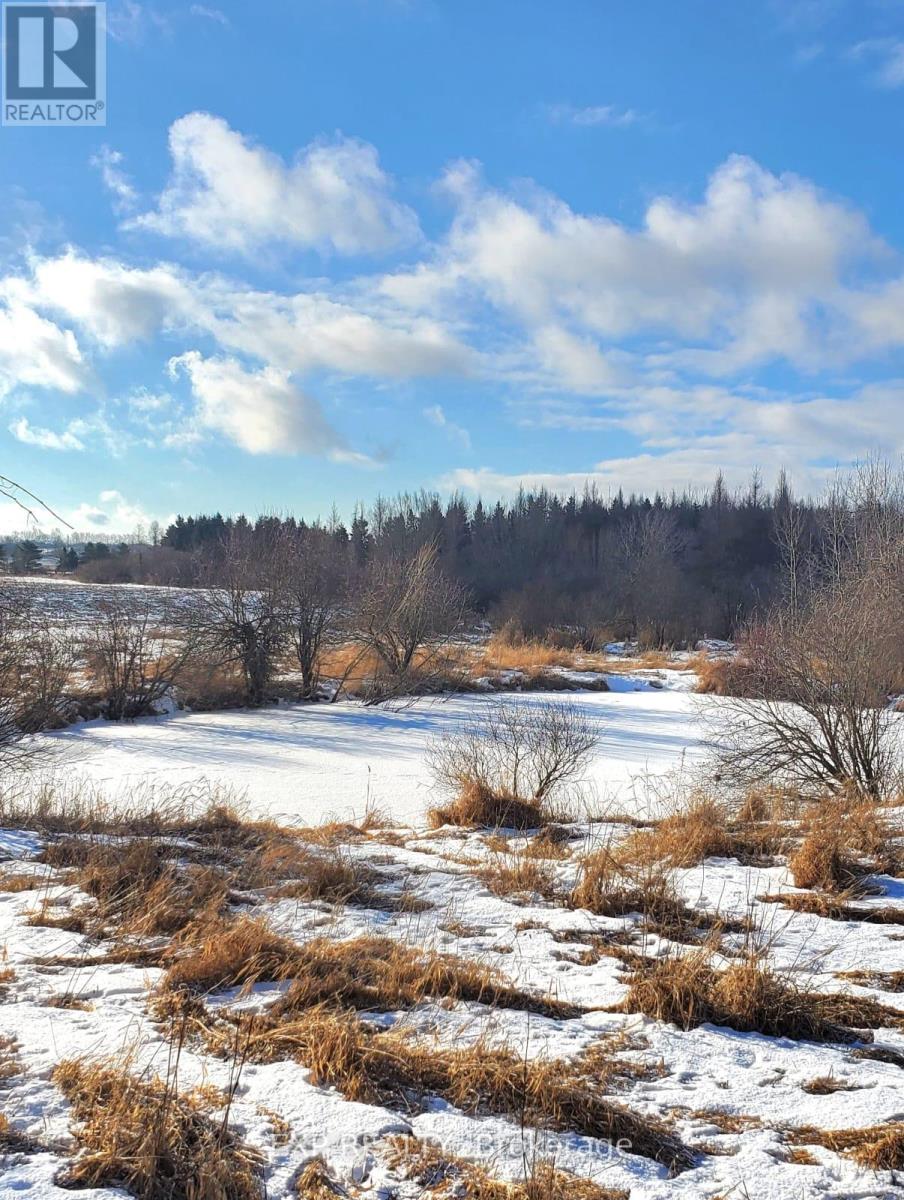 351219 Seventeenth Line E, East Garafraxa, Ontario  L9W 2Y9 - Photo 36 - X12155437