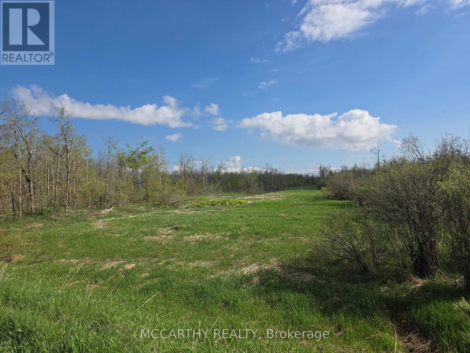 238527 4th Line, Melancthon, Ontario  L9V 2J4 - Photo 21 - X12155450