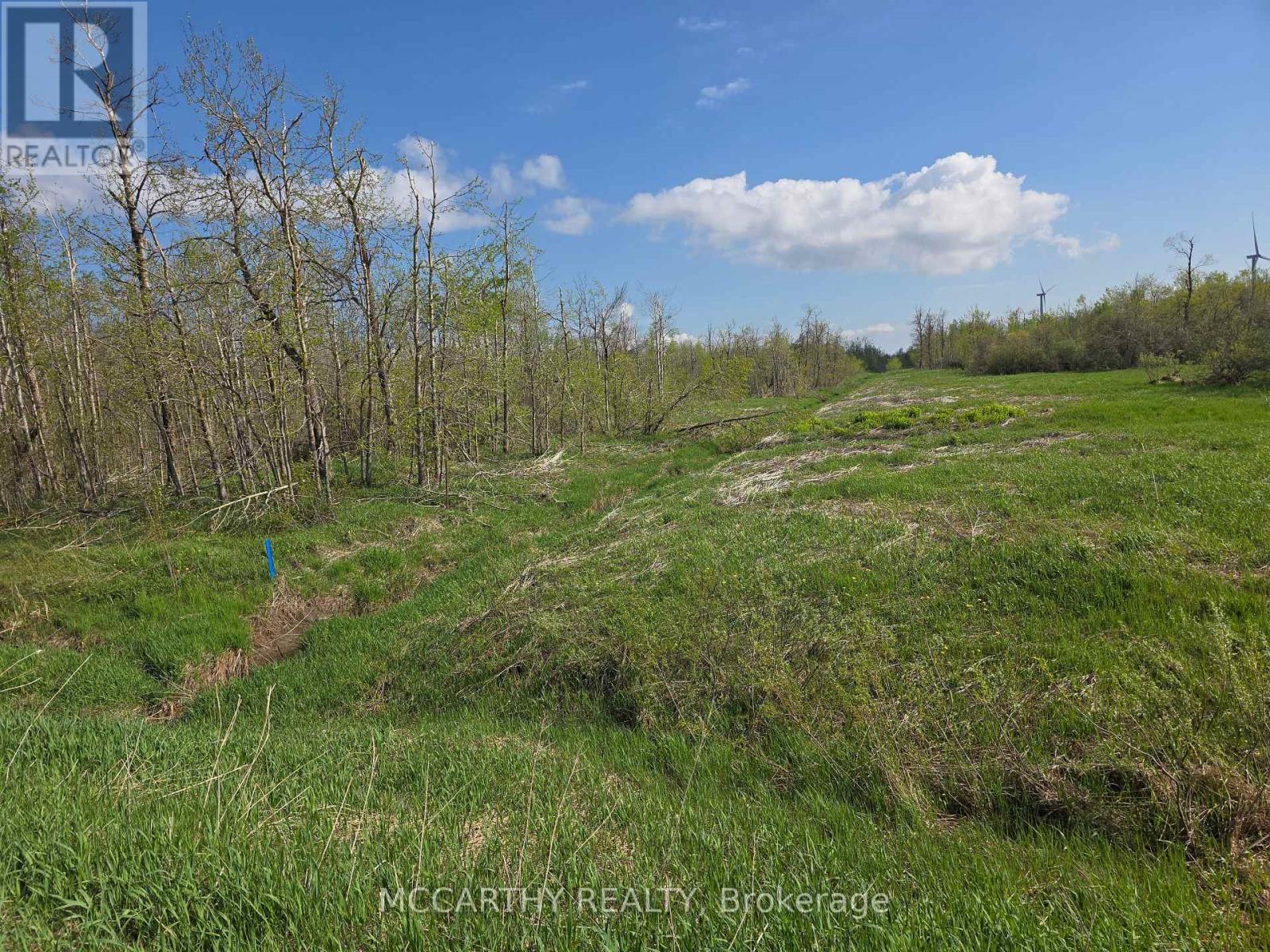 238527 4th Line, Melancthon, Ontario  L9V 2J4 - Photo 24 - X12155450