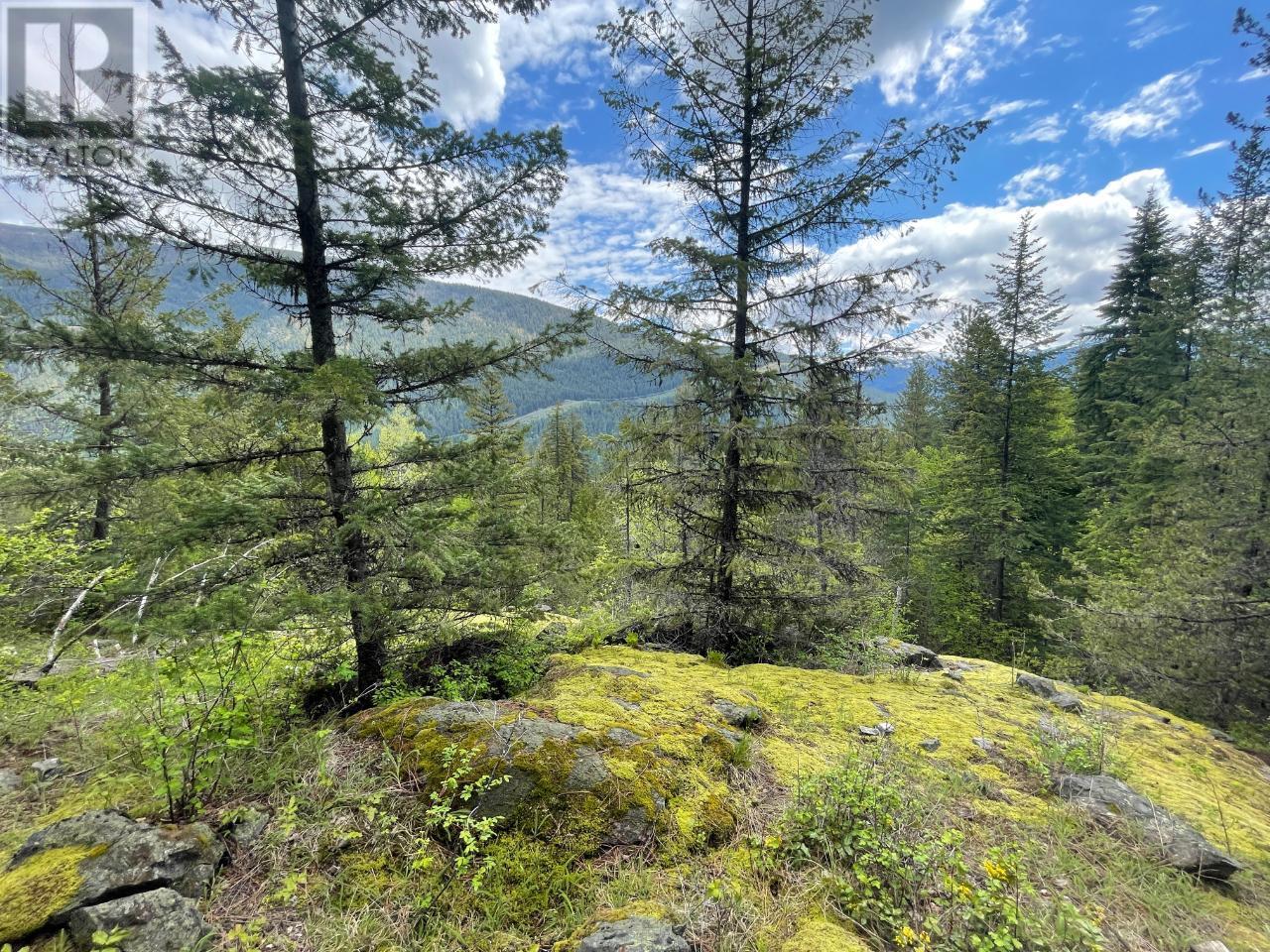 Lot 1 LANGILL Road, krestova, British Columbia