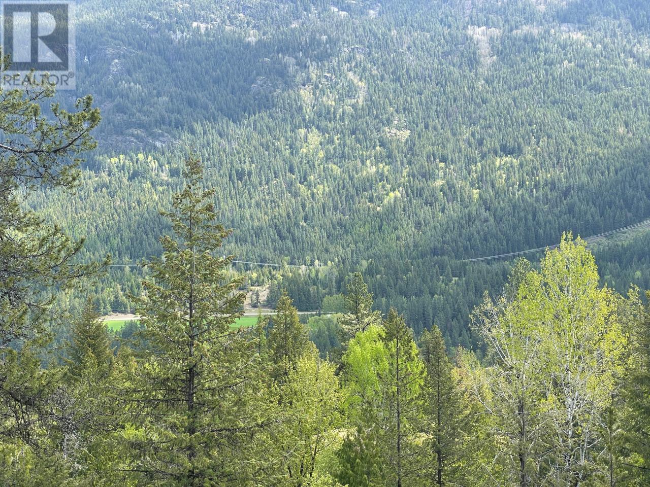 Lot 1 Langill Road, Krestova, British Columbia  V0G 1H0 - Photo 19 - 10347982