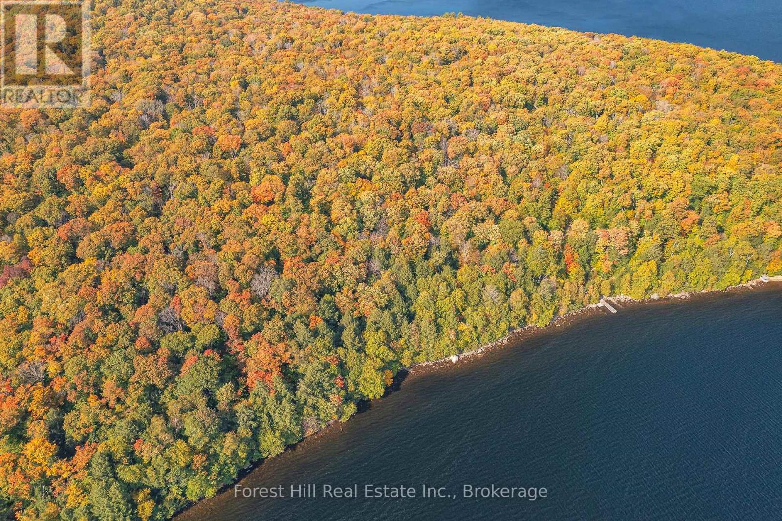 0 Bear Island, Dysart Et Al, Ontario  P0A 1E0 - Photo 21 - X12155512