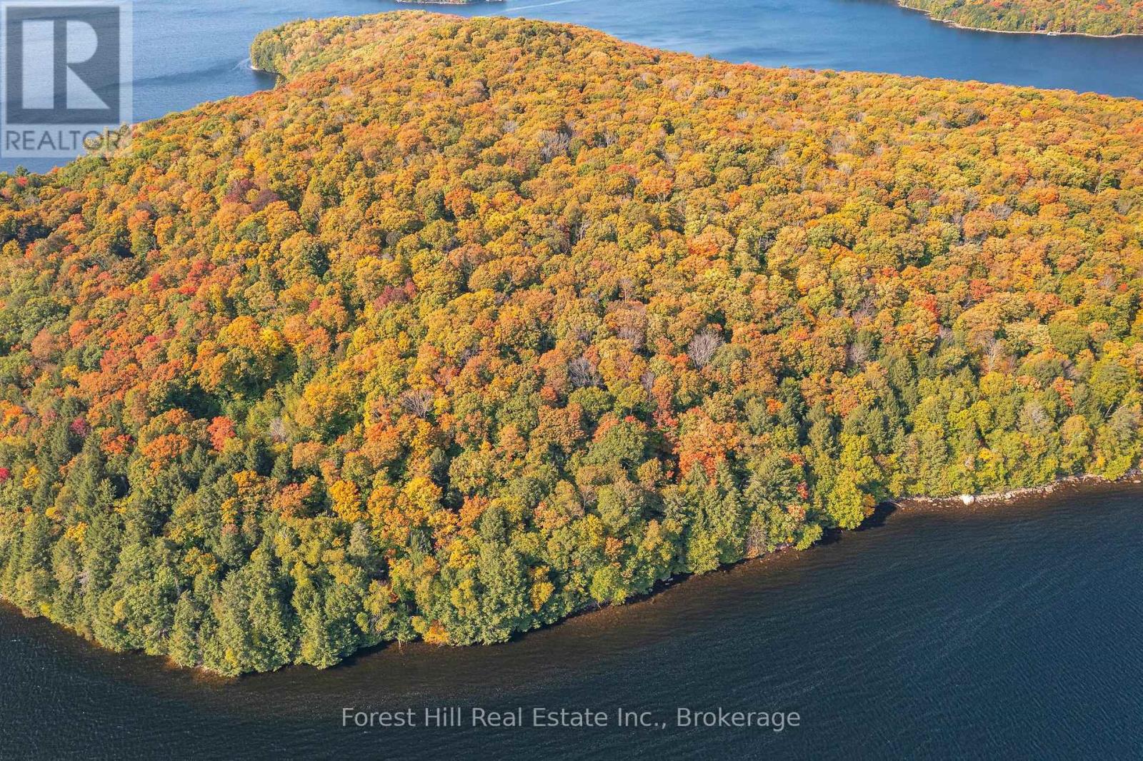 0 Bear Island, Dysart Et Al, Ontario  P0A 1E0 - Photo 5 - X12155512