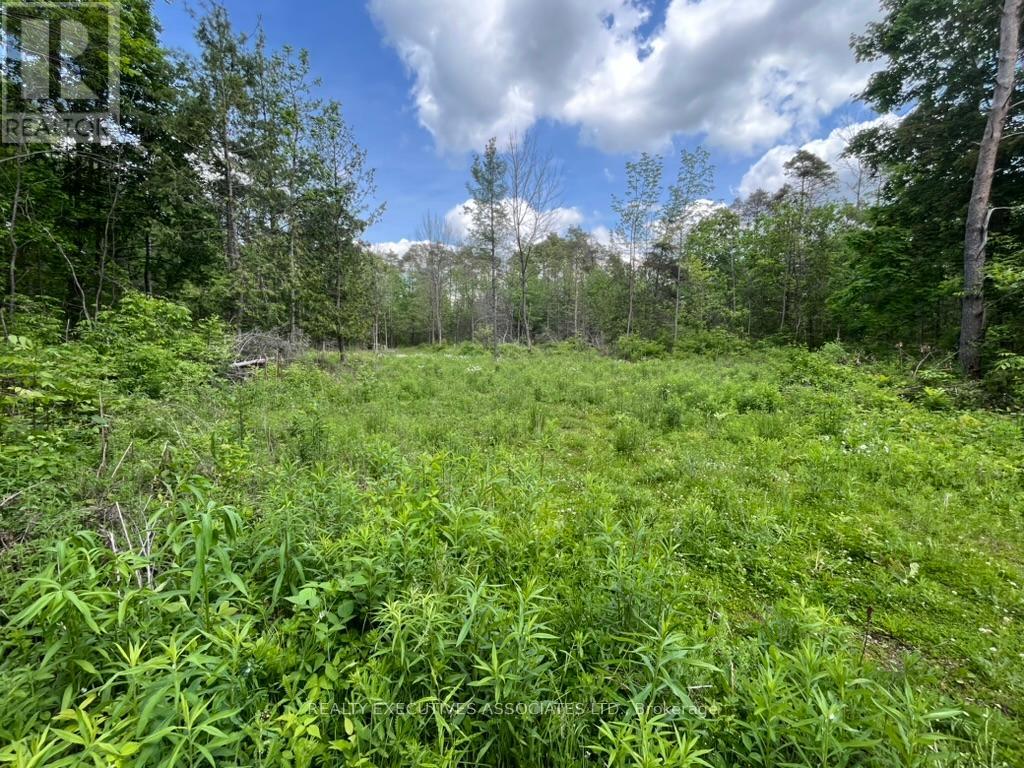6192 County Rd 50 Road, Trent Hills, Ontario  K0L 1L0 - Photo 6 - X12155578