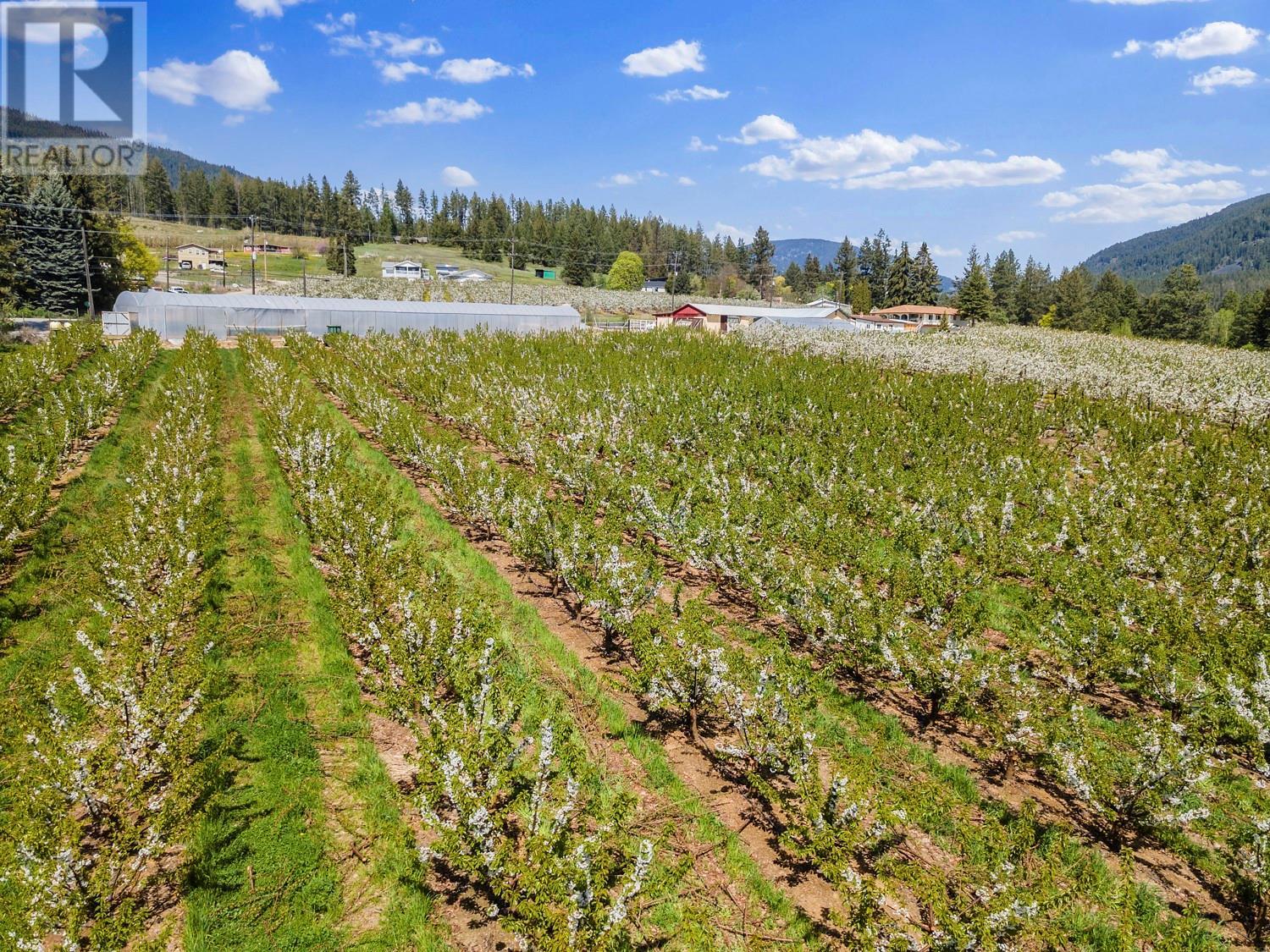 3851 3 Highway, Erickson, British Columbia V0B 1G0 - Photo 22 - 10347163