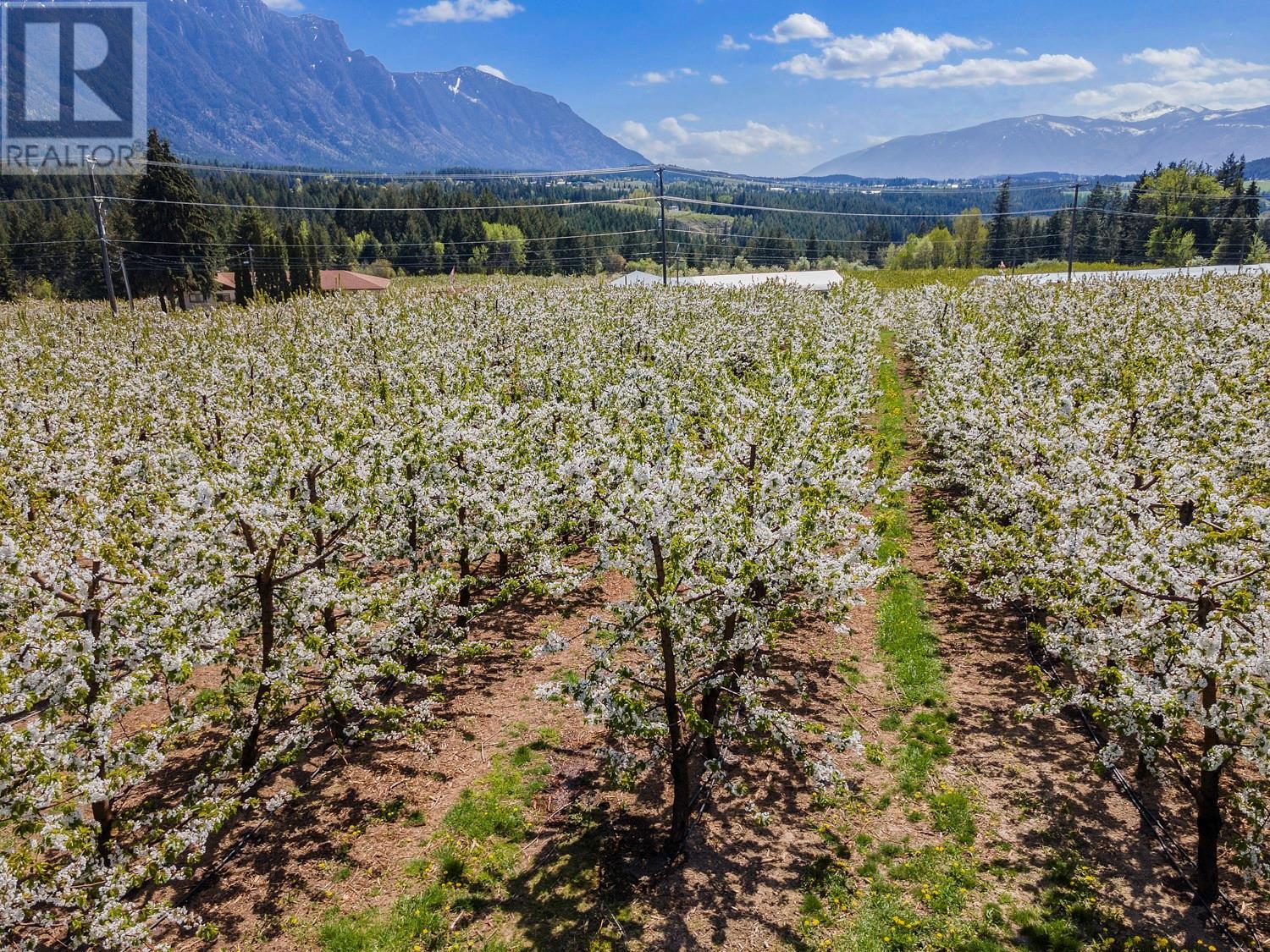 3851 3 Highway, Erickson, British Columbia V0B 1G0 - Photo 21 - 10347163