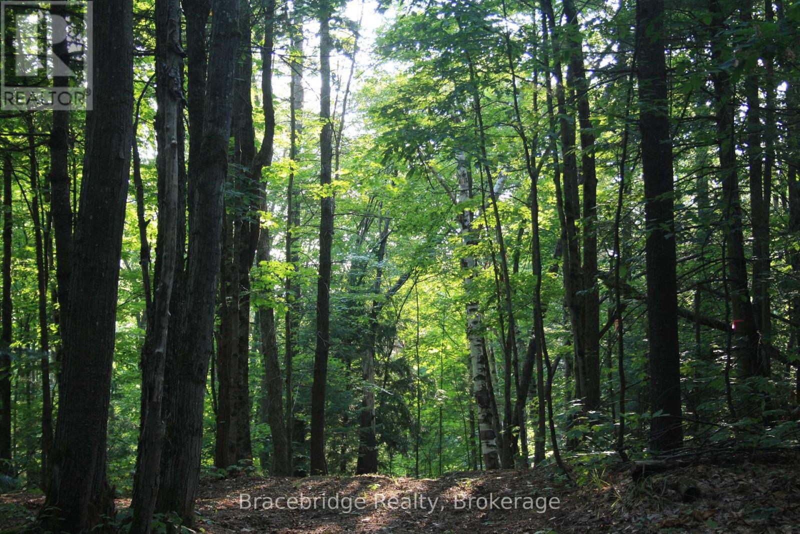 0 Rainey Road, Bracebridge, Ontario  P1L 1X1 - Photo 3 - X12155585