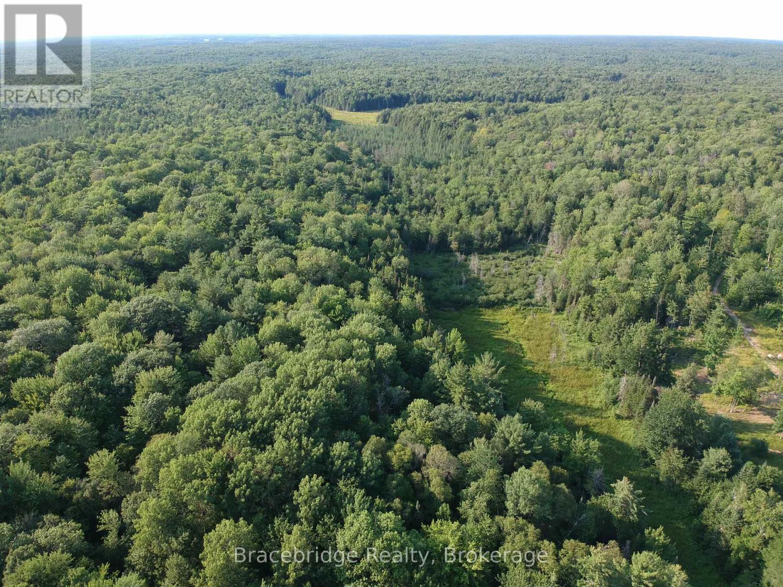 0 Rainey Road, Bracebridge, Ontario  P1L 1X1 - Photo 5 - X12155585