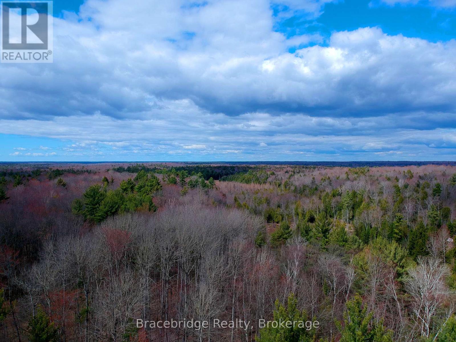 0 Rainey Road, Bracebridge, Ontario  P1L 1X1 - Photo 7 - X12155585