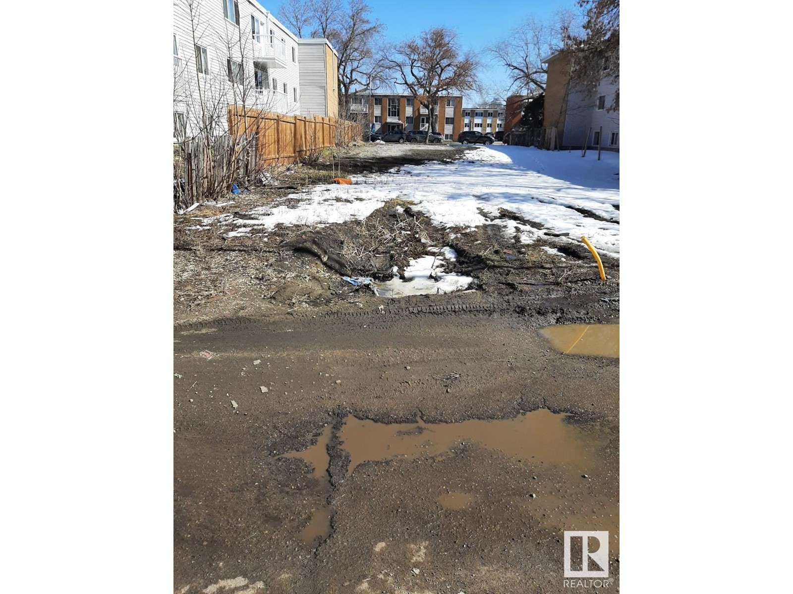 #1 10618 115 St Nw, Edmonton, Alberta  T5H 3K8 - Photo 6 - E4437038