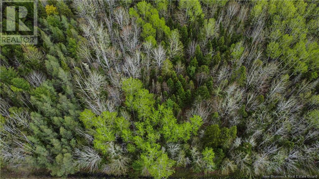 Lot 79-7 Des Dallaires, Sainte-Marie-De-Kent, New Brunswick  E4S 1S8 - Photo 6 - NB111996