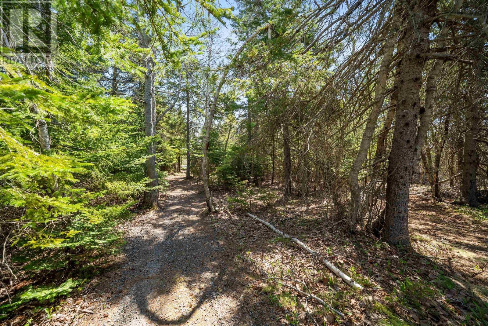 719 Egypt Road, Little Harbour, Nova Scotia  B0K 1X0 - Photo 43 - 202511372